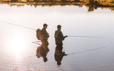 Fly Fishing - Evening Fly Fishing in Stocked Pond - Teton Valley