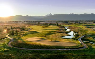 Tributary12_DSC08722