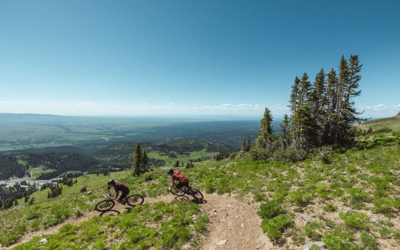 This image does not represent on-premise locations, activities, amenities, and/or services offered by Tributary.